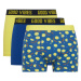 DEFACTO Regular Fit Patterned 3-Piece Boxer