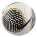 Futbalová lopta NIKE PITCH - FA23 102