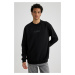 DEFACTO Regular Fit Crew Neck Sweatshirt