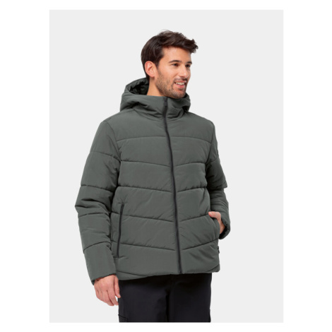 Jack Wolfskin Zimné bundy Karolinger Jkt 1207831 Zelená Regular Fit