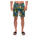 Edoti Men's swimming shorts