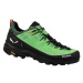 Salewa obuv Alp Trainer 2 Gtx pale frog