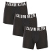 3PACK pánske boxerky Calvin Klein čierne (NB3609A-UB1)
