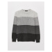 LC Waikiki Crew Neck Long Sleeve Color Block Men's Knitwear Sweater