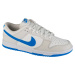 Smotanové pánske tenisky Nike Dunk Low Retro DV0831-108