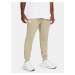 Men's sweatpants Under Armour Rival Terry Jogger