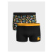 LC Waikiki Standard Fit Garfield Printed Men's Boxer 2-Pack