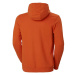 Pánska mikina Helly Hansen Logo Hoodie M 33977-300