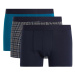 DEFACTO Regular Fit 3-pack Boxer