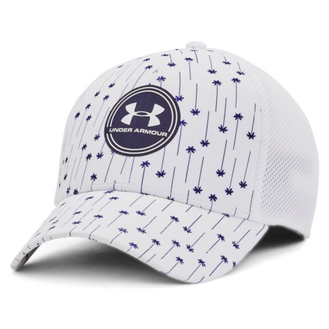 Men's cap Under Armour Iso-chill Driver Mesh