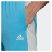 ADIDAS SPORTSWEAR Športové nohavice  modrá / svetlosivá