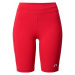 Newline Športové nohavice  svetlosivá / červená