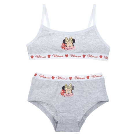 Sivý set spodnej bielizne Minnie Mouse