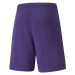 Puma teamRise Short Prist M 704942 10