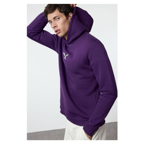 Trendyol Purple Regular/Normal Cut Animal Embroidered Polar Fleece Hooded Sweatshirt