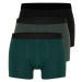 Trendyol 3-Piece Green-Black Striped-Plain Mix Cotton Boxer