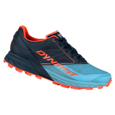 Men's Running Shoes Dynafit Alpine Storm blue