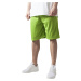 Men's Bball Mesh Shorts Green