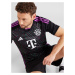 ADIDAS PERFORMANCE Dres 'FC Bayern München 23/24'  svetlozelená / fialová / čierna / biela