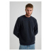 DEFACTO Regular Fit Crew Neck Basic Plain Plush Sweatshirt