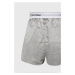 Calvin Klein Underwear - Boxerky (2-pak) 000NB1396A