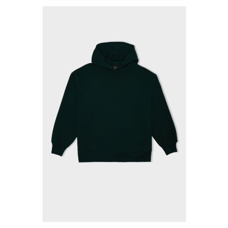 DEFACTO Relax Fit Hooded Thick Casual Basic Plain Sweatshirt