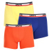 3PACK men's boxers Levis multicolored