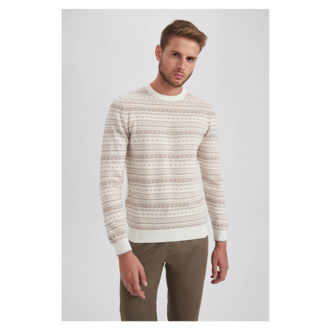 DEFACTO Standard Fit Patterned Crew Neck Sweater