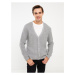 LC Waikiki Standard Pattern V-Neck Men's Knitwear Cardigan