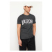 Trendyol Black Regular Cut Textured Text Printed T-Shirt