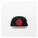 Mitchell & Ness NBA 75th Platinum Snapback Raptors Red / White