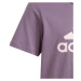 Adidas Essentials Big Logo Cotton Tee Jr IJ7061 tričko