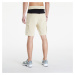 Šortky The North Face Icons Cargo Shorts Gravel