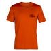 Men's T-Shirt Icebreaker Tech Lite SS Crewe The Good Life