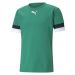 Puma teamRISE Chlapčenské futbalové tričko, zelená, veľkosť