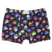 Kwazar boys' boxer shorts - print