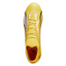 Puma Ultra Match FG/AG M 107347 04