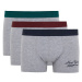 DEFACTO Regular Fit 3-pack Boxer