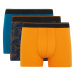 DEFACTO Regular Fit 3-pack Boxer