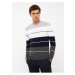 LC Waikiki Crew Neck Long Sleeve Striped Men's Knitwear Sweater