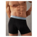 Pánske boxerky CALVIN KLEIN 3 PACK-TRUNK-B- VIVID BL, ARONA, SAGEB GRN WBS