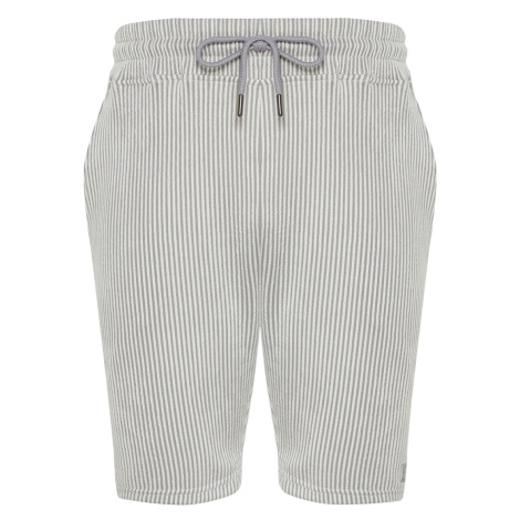 Trendyol Gray Striped Regular Cut Shorts