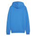 Puma Team Goal Casuals Hooded M 658595 02