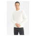 DEFACTO Standard Fit Crew Neck Knitwear Sweater