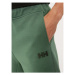 Helly Hansen Športové kraťasy Move Sweat 53710 Zelená Regular Fit