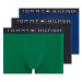 Súprava troch pánskych boxeriek v modrej a zelenej farbe Tommy Hilfiger Underwear