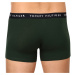 3PACK pánske boxerky Tommy Hilfiger viacfarebné (UM0UM02203 0V1)