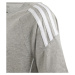 Tričko adidas Tiro 24 Sweat Tee Jr IR9356