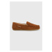 Papuče Polo Ralph Lauren Collins Bear hnedá farba, RF103883