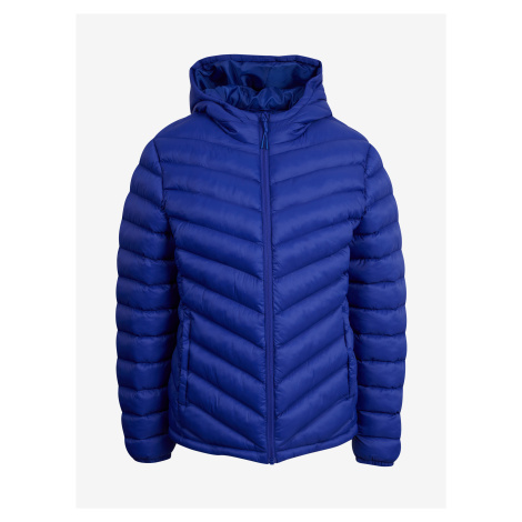 Dámske zimné bundy Orsay